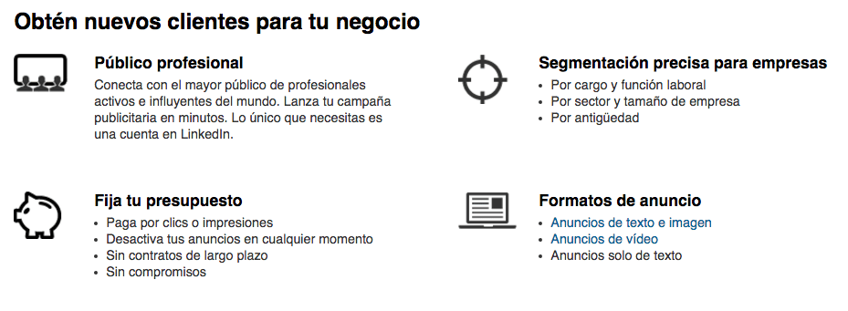 Opciones de segmentación - Linkedin para hacer negocios