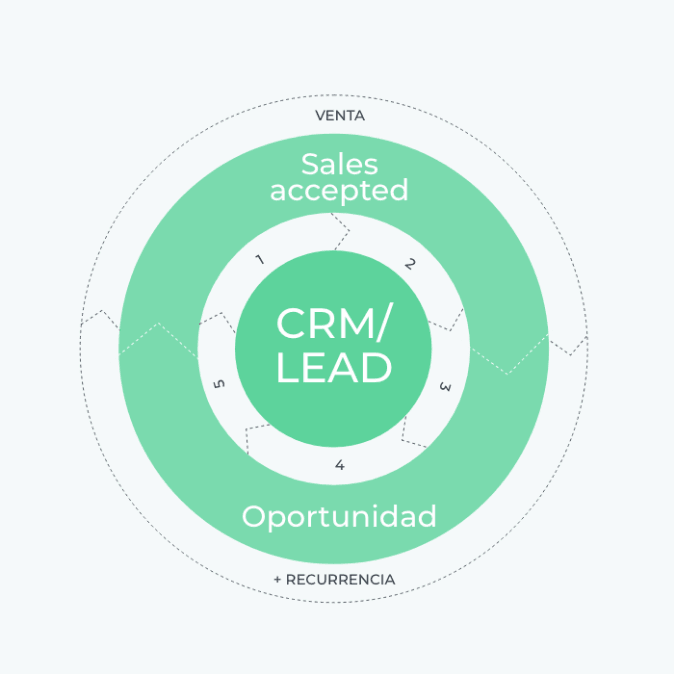 marketing automation