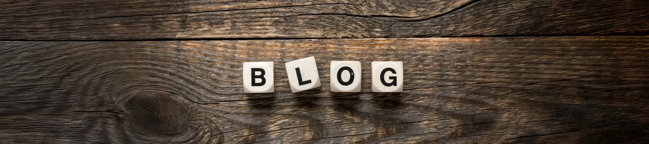 seo blog